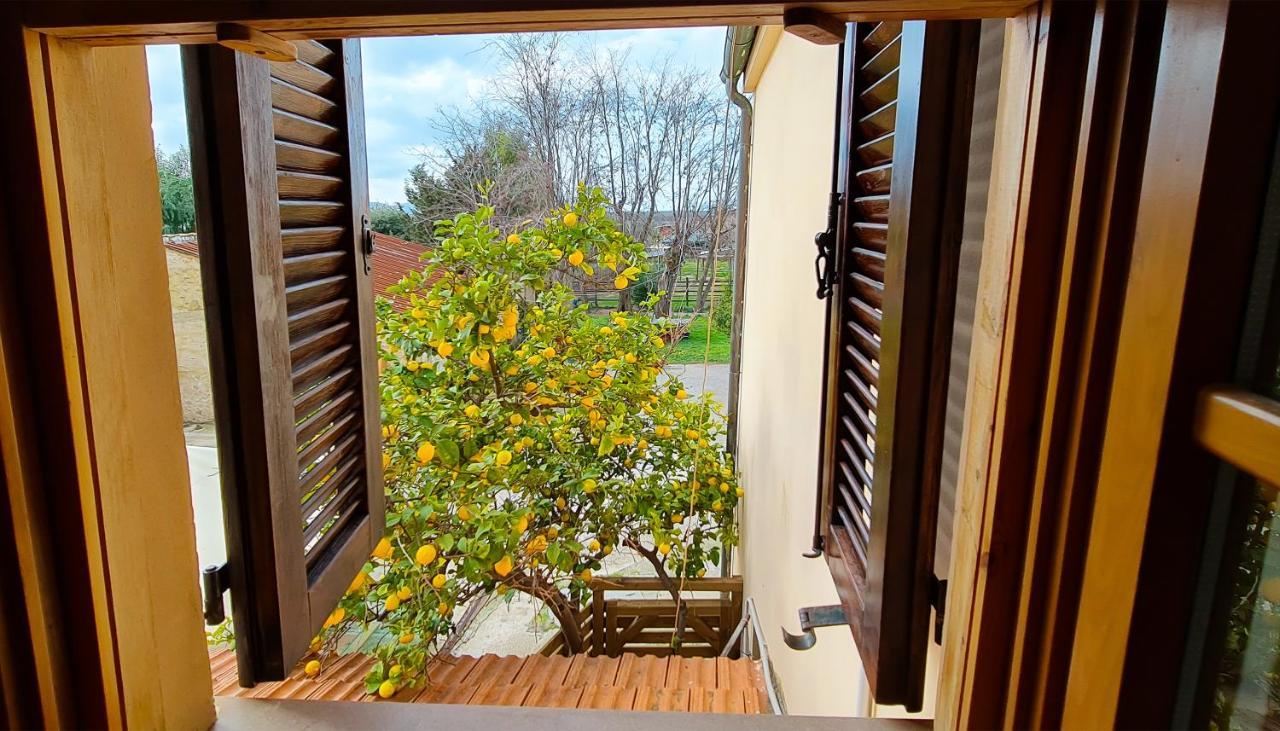 Agriturismo Barbadoro San Vincenzo Luaran gambar